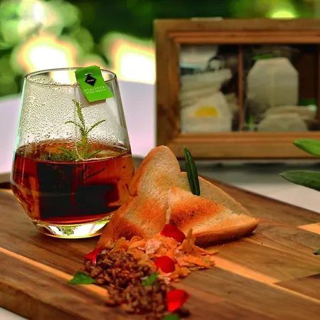 Rio Piedra Szálloda